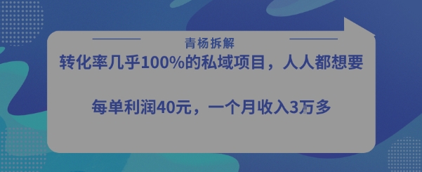转化率最高的私域项目，每单利润40-50米，月入过1w|学课链网创