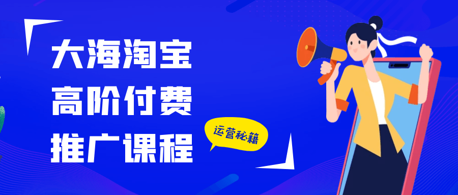 大海淘宝高阶付费推广课程|学课链网创