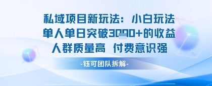 私域项目新玩法小白玩法单人单日突破1k的收益人群质量高付费意识强|学课链网创