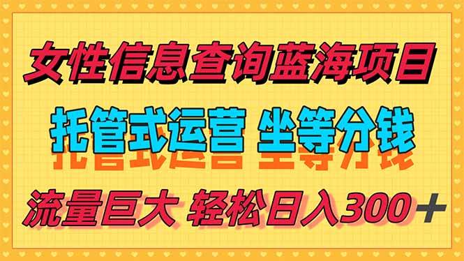 （15216期）稳定日入300＋，小众信息查询蓝海项目，全程懒人式托管，解放你的时间|学课链网创