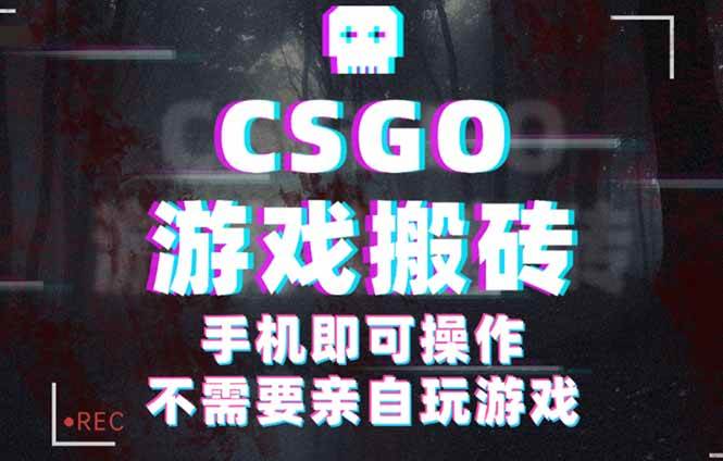 （16090期）CSGO游戏挂机捡漏，单日扫货500+，年底小高峰上车可吃肉，手机即可操作…|学课链网创